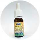 Aroma Medic Aroma Eyes שמן לטיפול באקזמות ופטריות עור Oil for Treating Eczemas and Skin Fungi 10ml