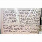 Sea of Life DSD+ קרם גוף חלב קוקוס Dead Sea Minerals Coconut Milk Body Cream 100ml