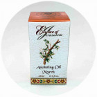 Ein Gedi Myrrh שמן משחה מבורך מירושלים Blessed Anointing Oil From Jerusalem 7.5ml