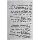 Famirel שמפו שמן קיק Shampoo Castor 500ml