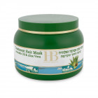 Health & Beauty  מסכת שמן אבוקדו ותמצית אלוורה לטיפוח השיער והקרקפת Avocado Oil & Aloe Vera Hair Mask 250ml