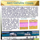Health & Beauty קרם לטיפול בצלוליט Anti-Cellulite Cream 250ml