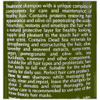 More Beauty שמפו טיפולי לשיער שמן זית Treatment Shampoo Olive Oil 760ml 