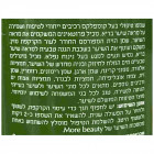 More Beauty שמפו טיפולי לשיער שמן זית Treatment Shampoo Olive Oil 760ml 