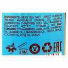 Sea Of Spa Bio Spa שמן ארומטי מים המלח Aromatic Oil Scrub Dead Sea 350ml