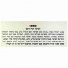 Sea Of Spa Bio Spa שמפו לשיער רגיל עד יבש מועשר בזיתים וחוחובה