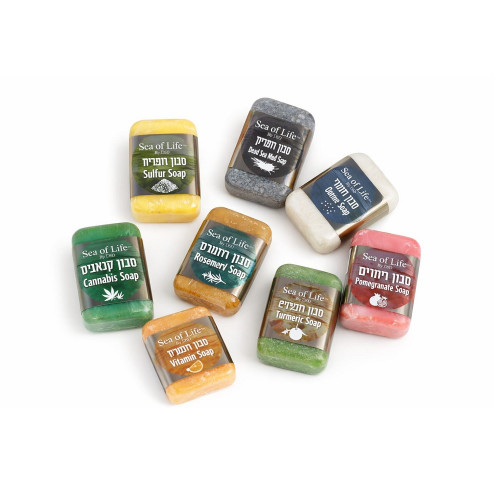 Sea of Life DSD+ סבון מינרלי ים המלח Dead Sea Mineral Soap 95gr